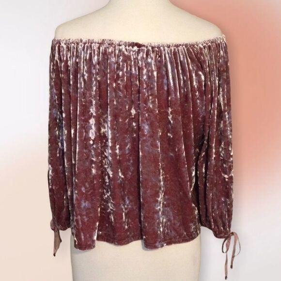 American Eagle Outfitters Mauve Crushed Velvet Cropped‎ Top XS - Picture 5 of 10